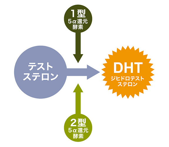 DHTが作られるまで